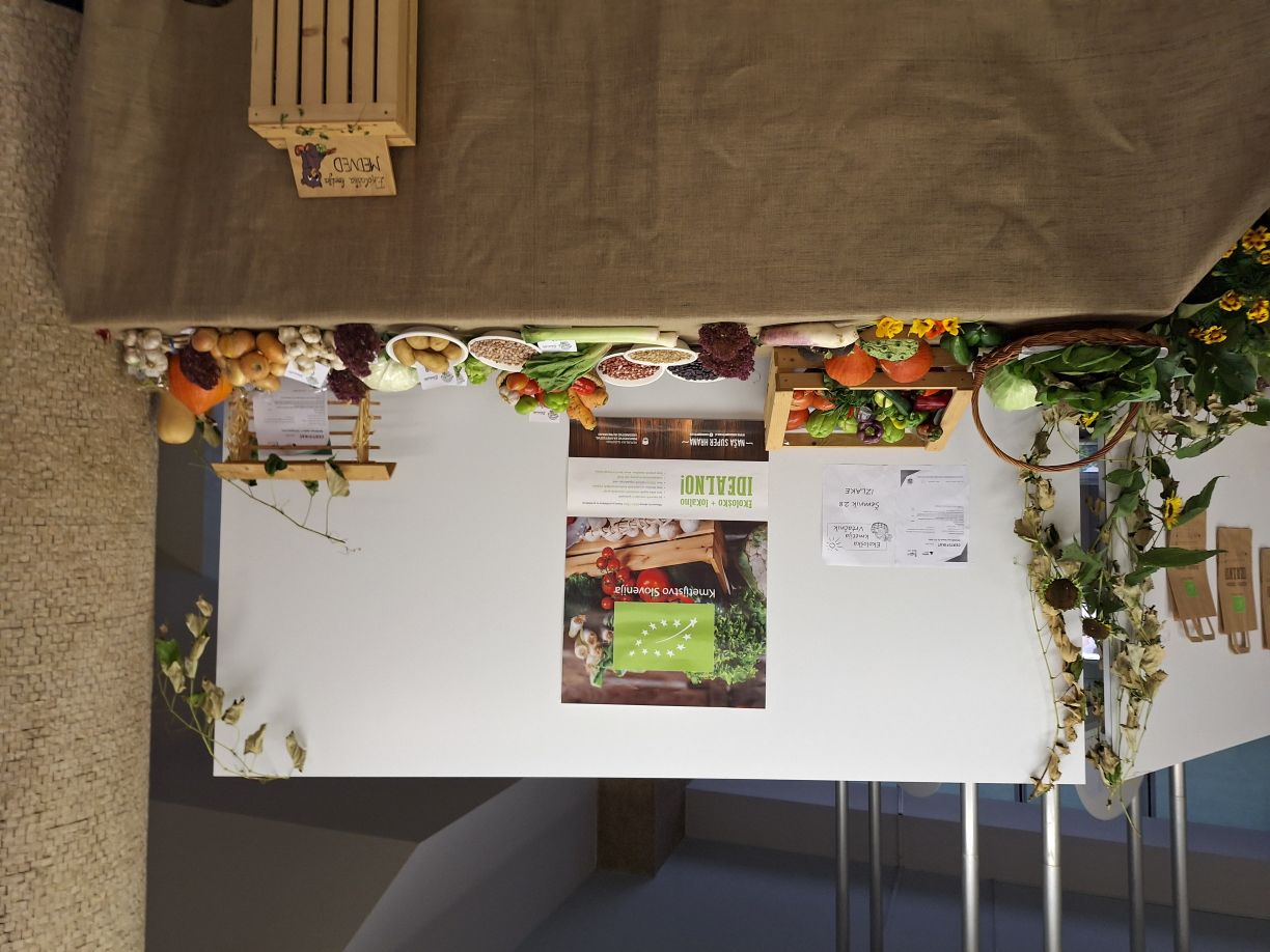 Razstava sadja – Delavski dom Zagorje