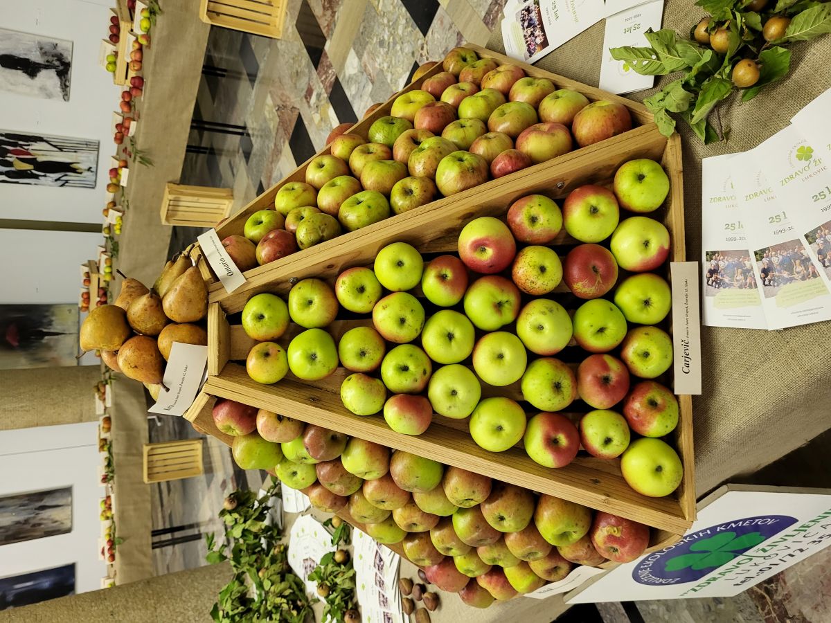 Razstava ekološkega sadja v Zagorju ob Savi