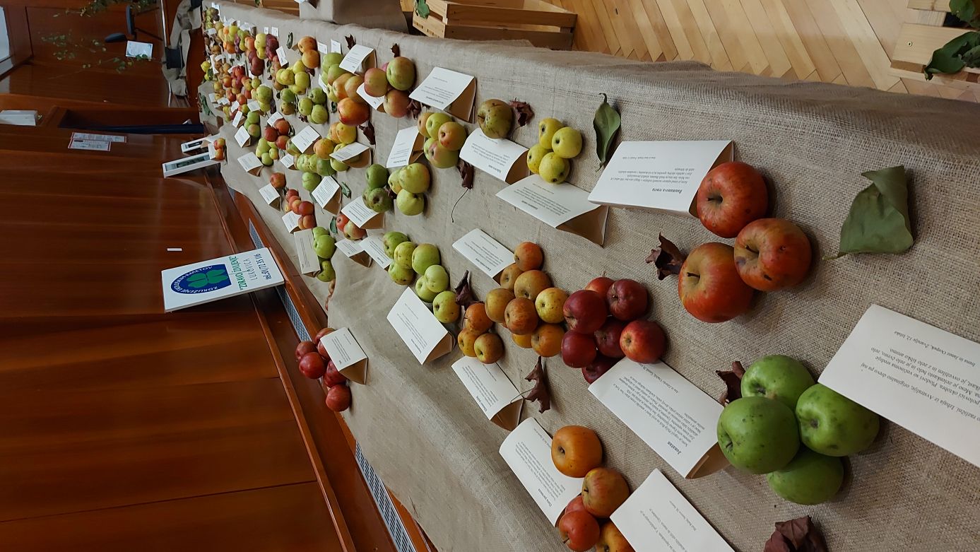 Otvoritev razstave v Moravčah