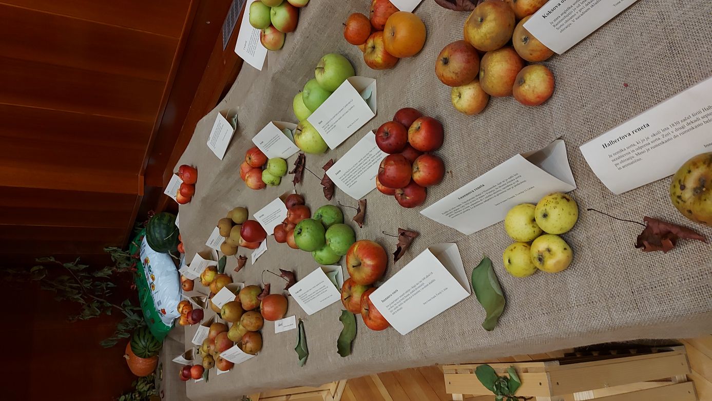 Otvoritev razstave v Moravčah