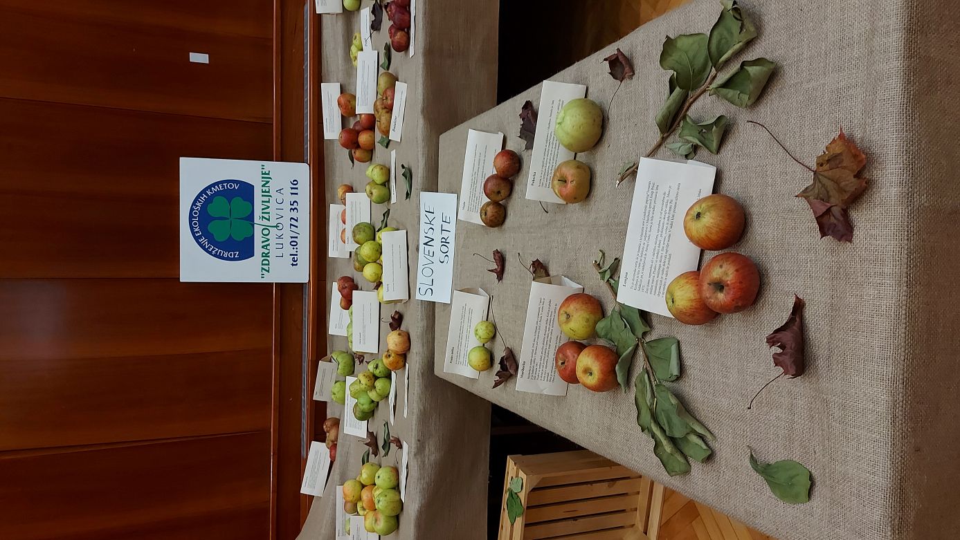 Otvoritev razstave v Moravčah