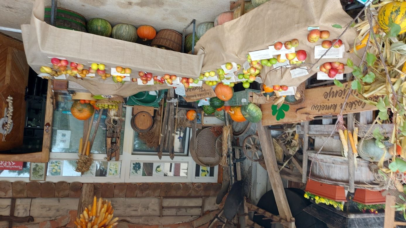 Razstava v Sadjarskem muzeju Tepka