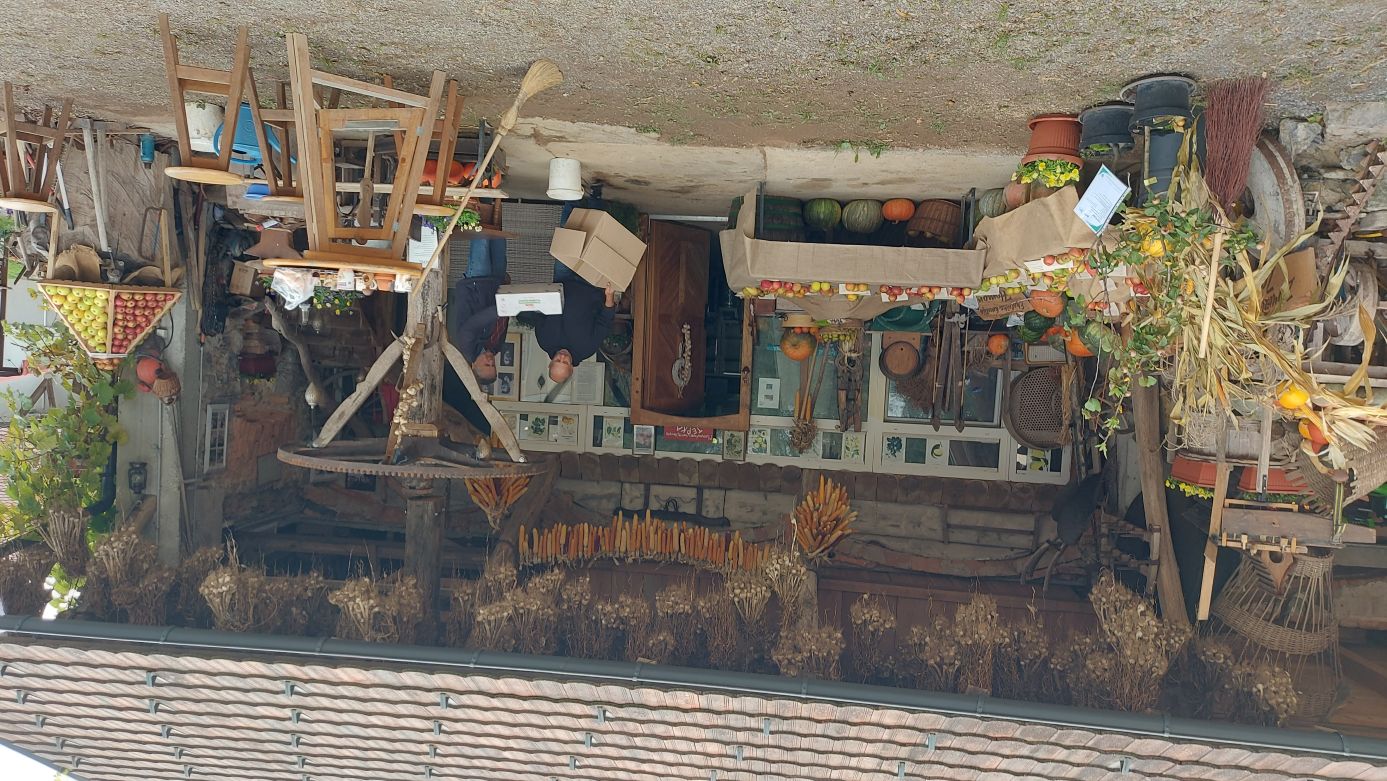 Razstavljeno sadje v muzeju Tepka