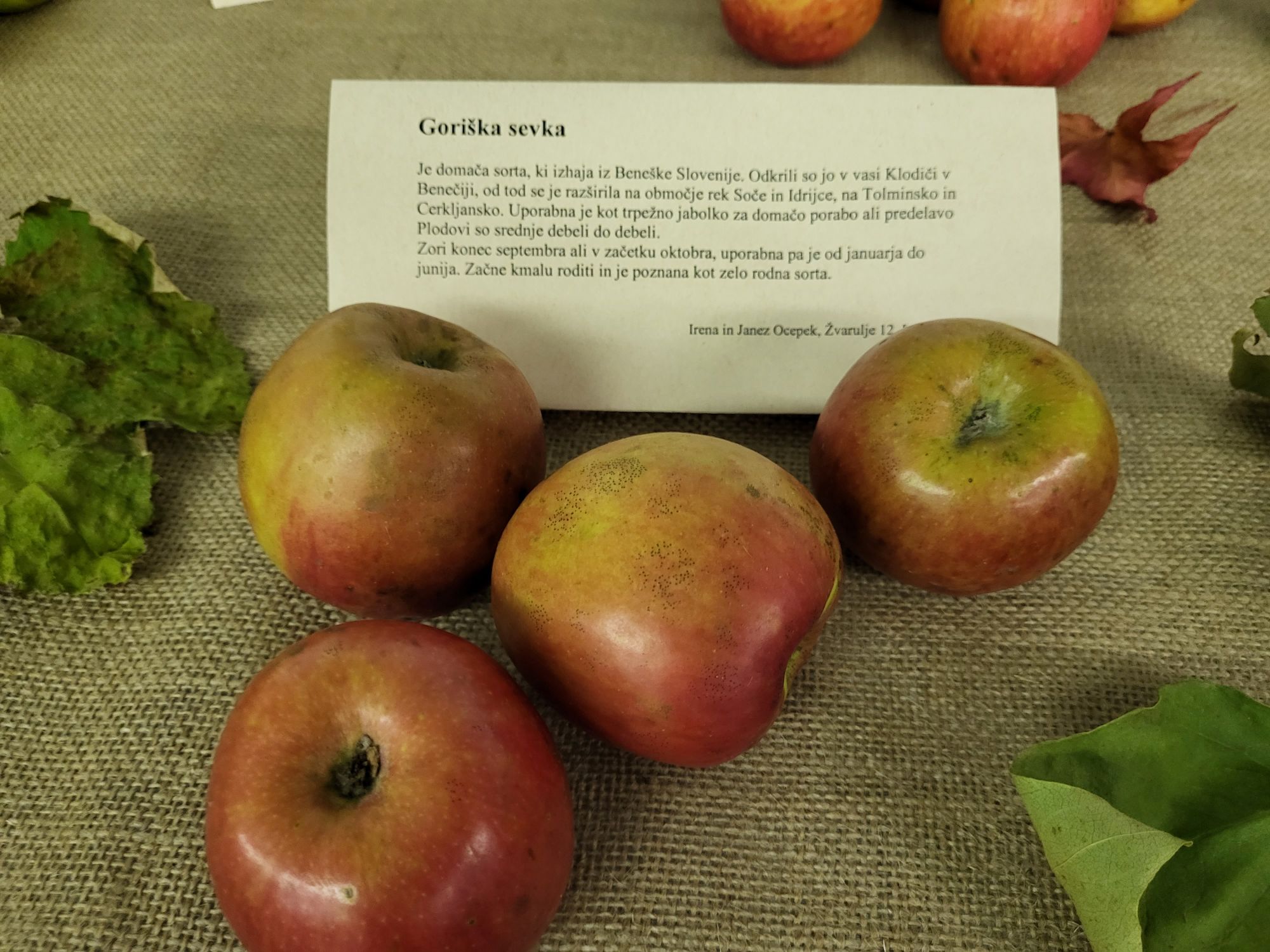 Udeleženci otvoritve v Zagorju ob Savi