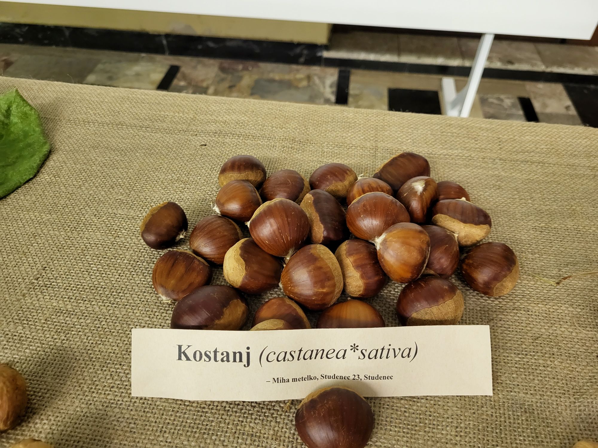 Udeleženci otvoritve v Zagorju ob Savi