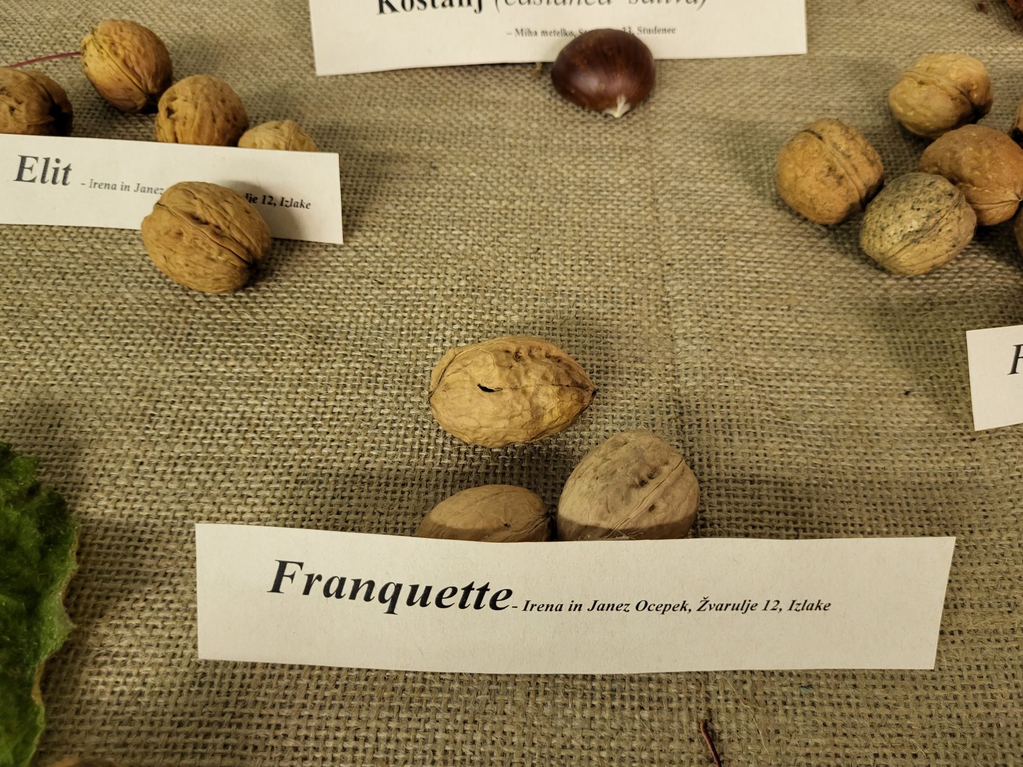 Udeleženci otvoritve v Zagorju ob Savi