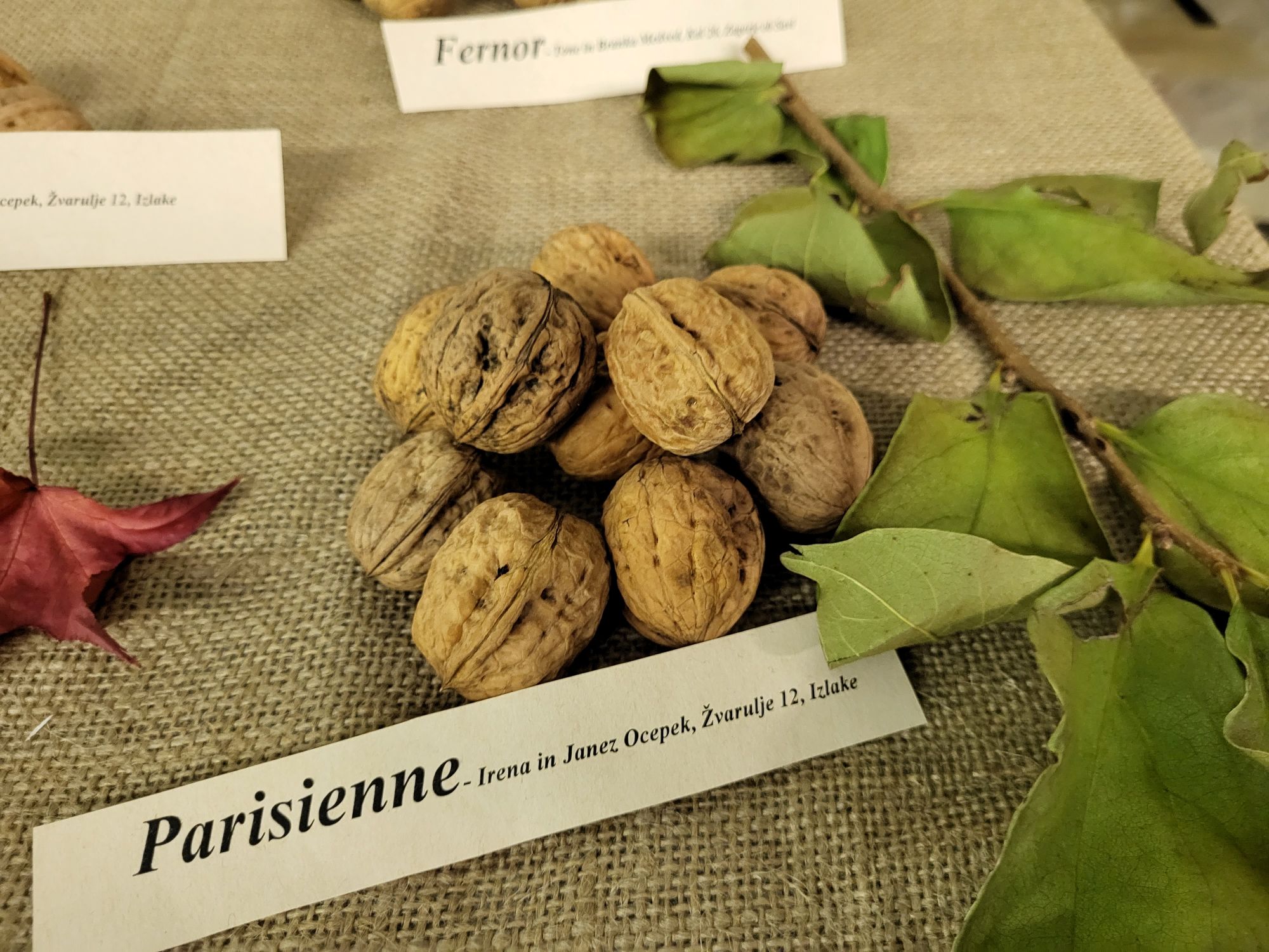 Udeleženci otvoritve v Zagorju ob Savi