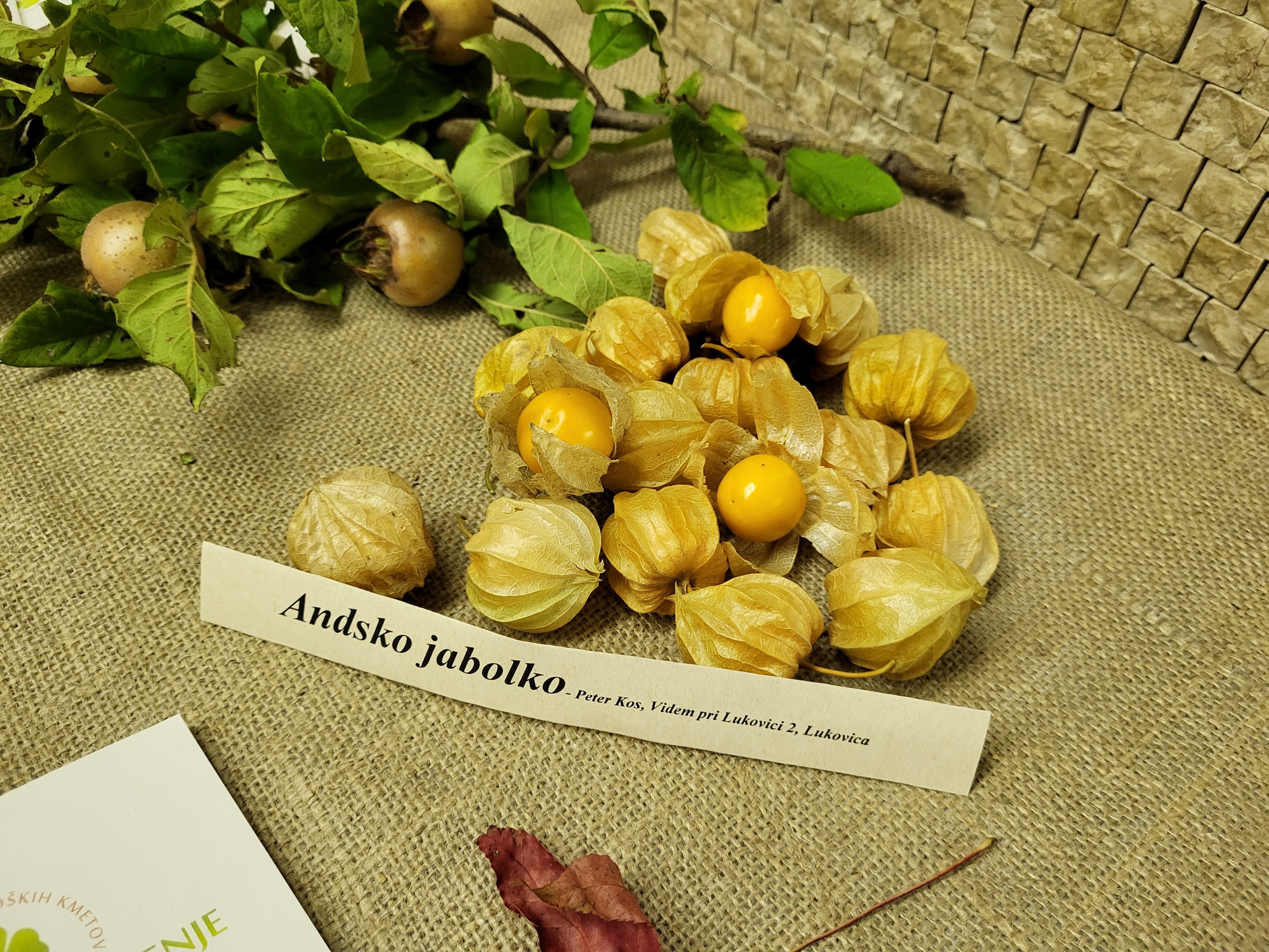 Udeleženci otvoritve v Zagorju ob Savi