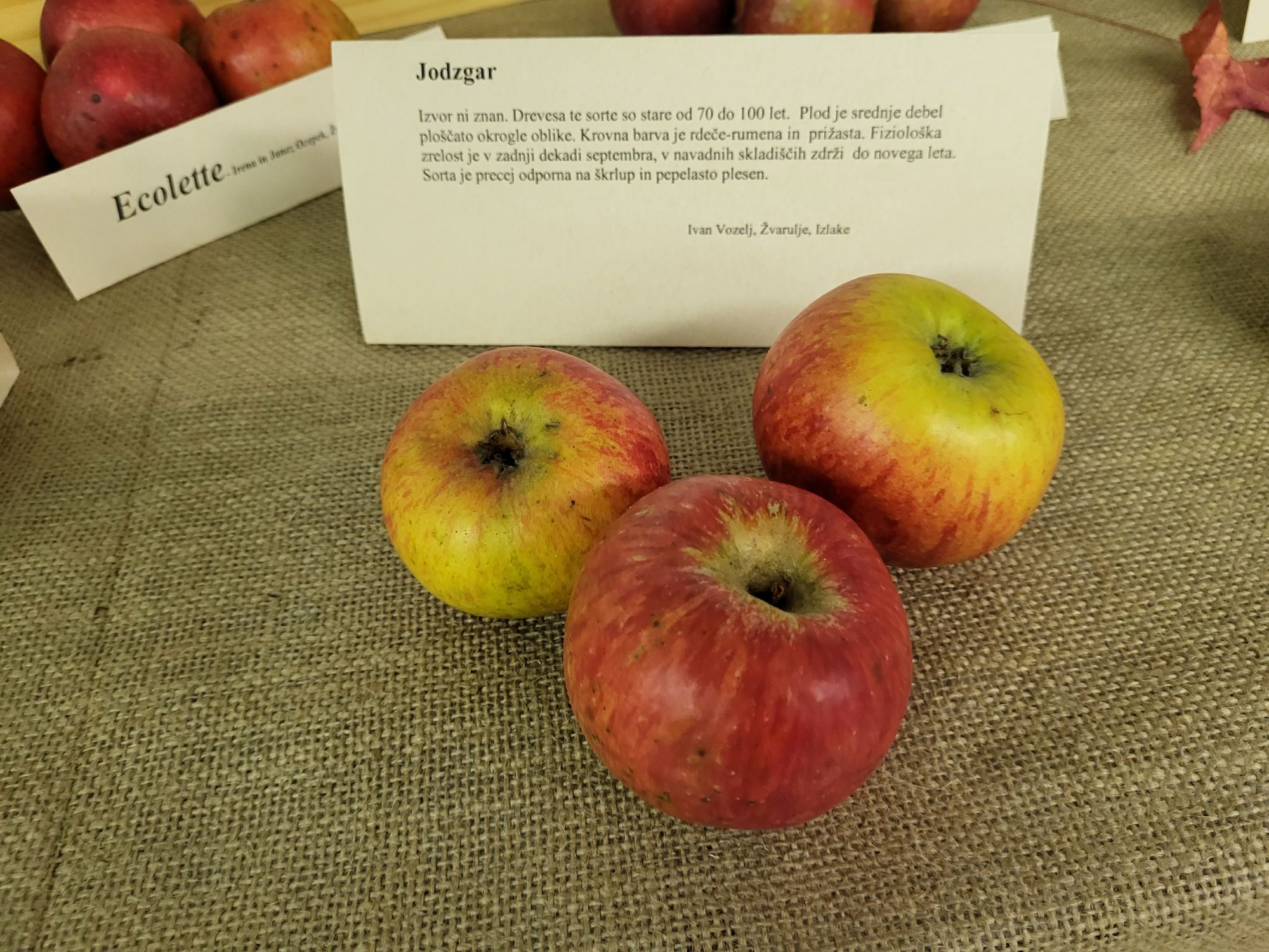 Udeleženci otvoritve v Zagorju ob Savi