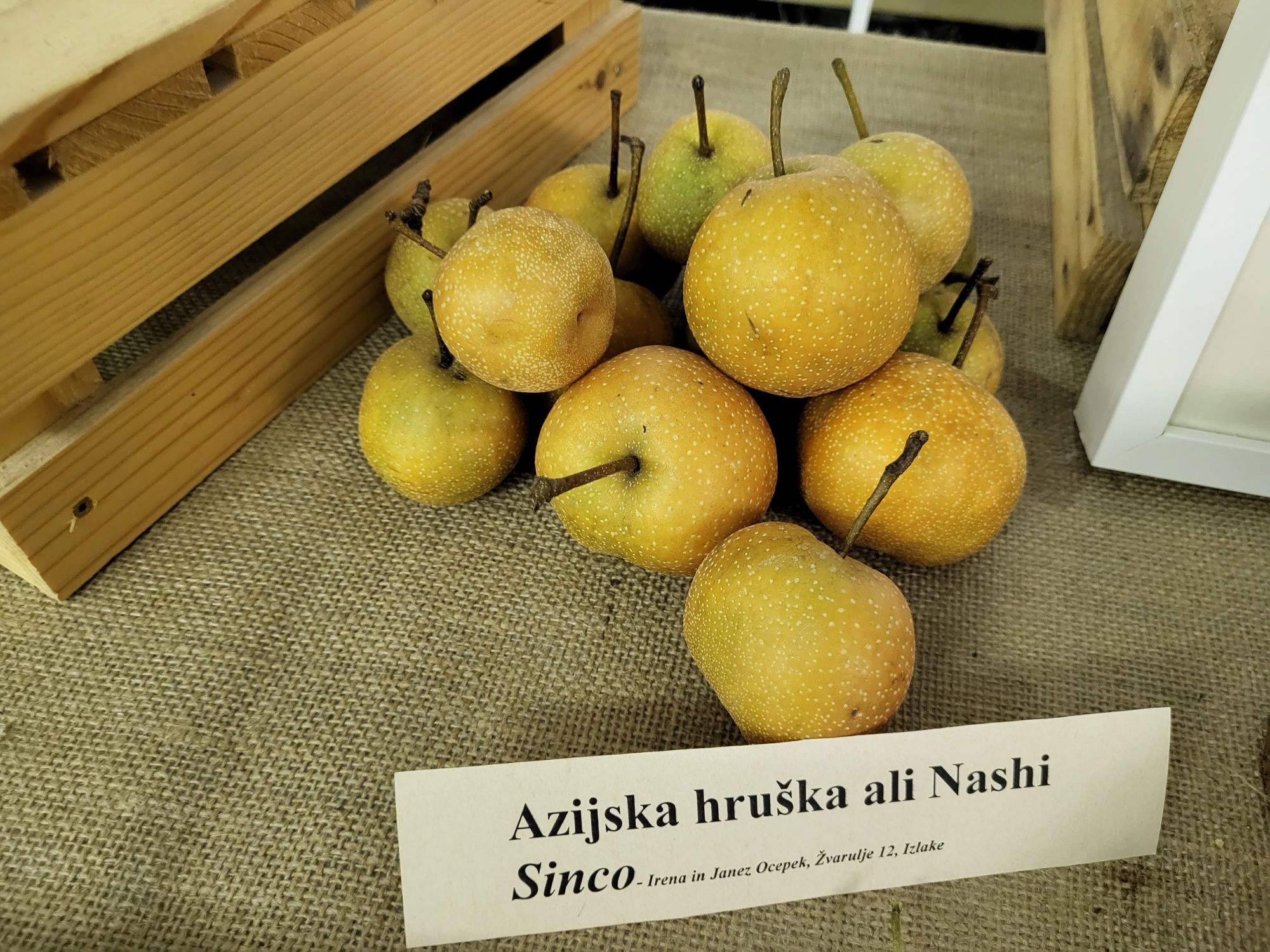 Udeleženci otvoritve v Zagorju ob Savi