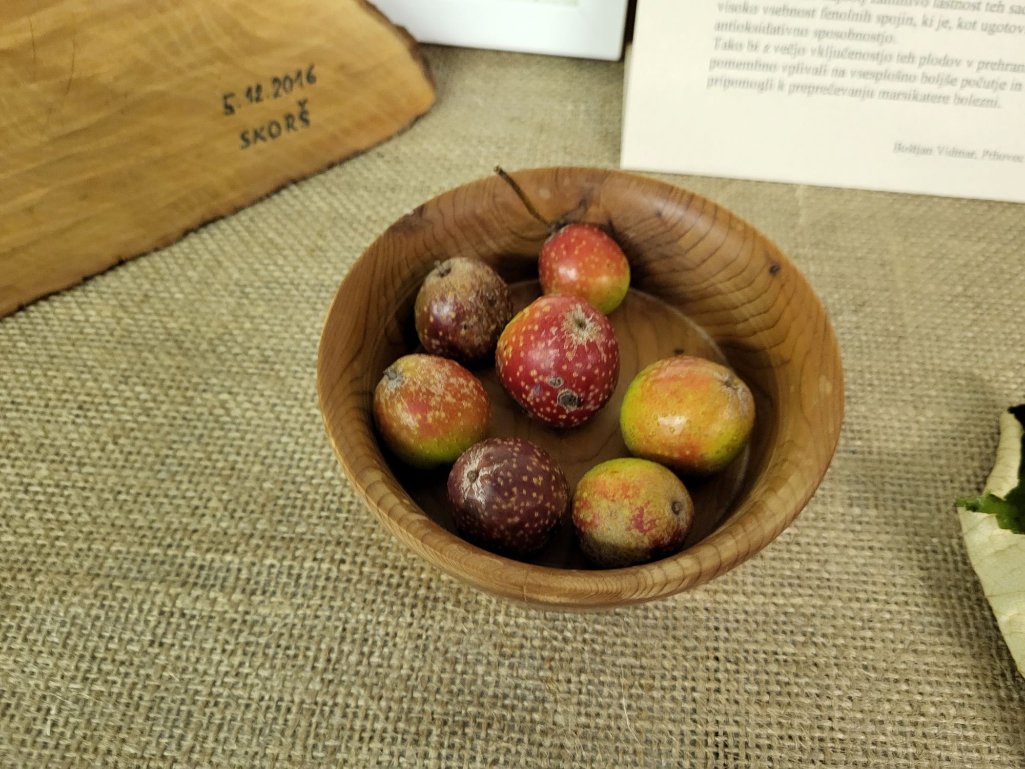 Udeleženci otvoritve v Zagorju ob Savi