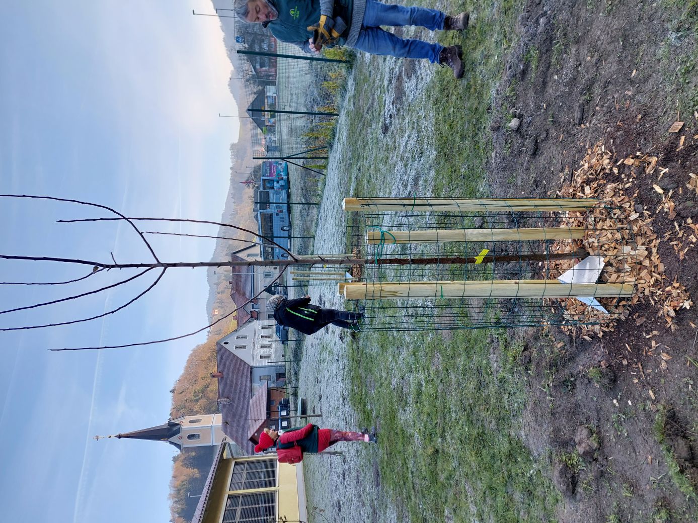 Sajenje jablan na POŠ Blagovica