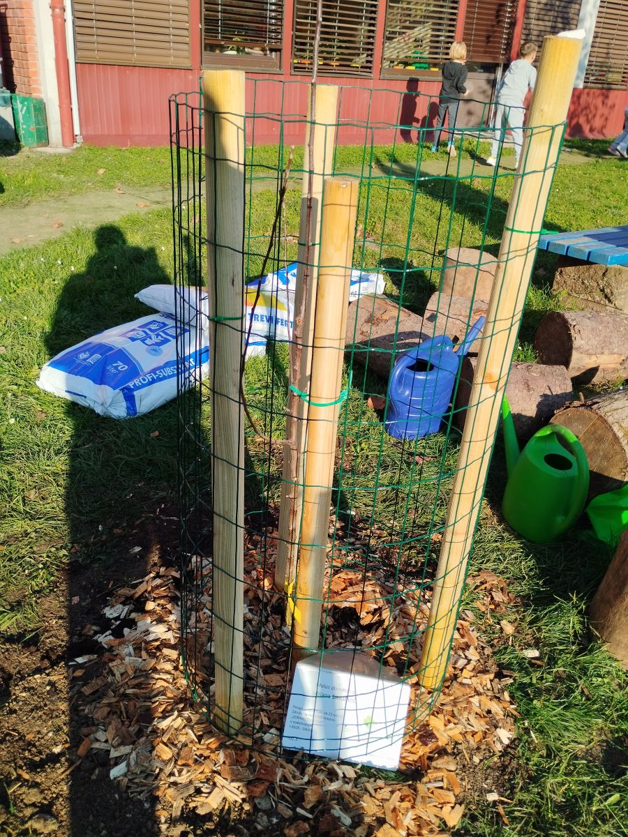 Sajenje jablan v Kamniku