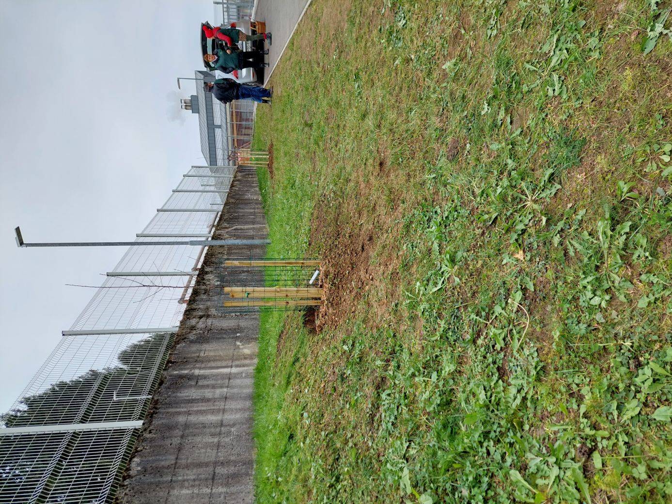 Sajenje jablan na OŠ Jurij Vega Moravče