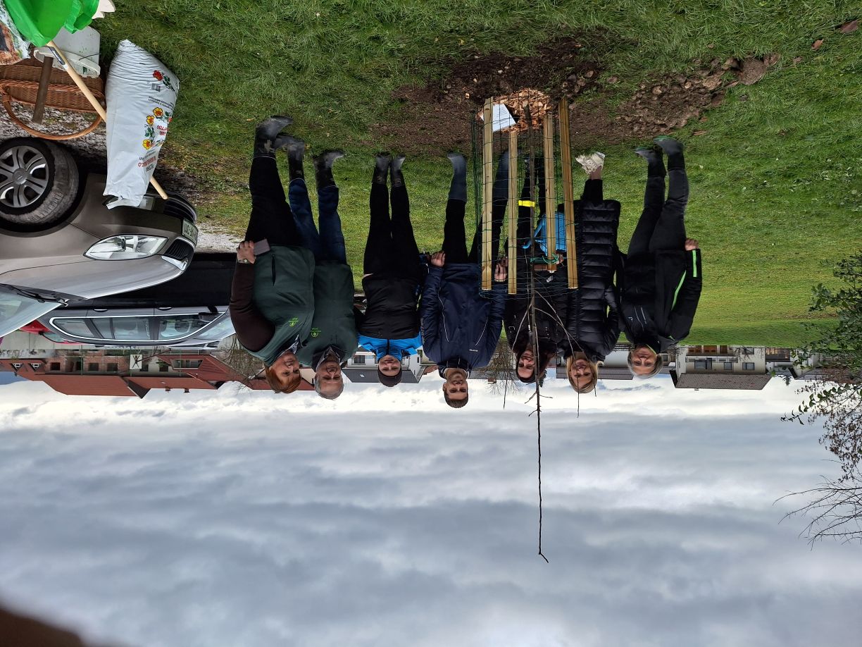 Zasaditev jablan na OŠ Rodica