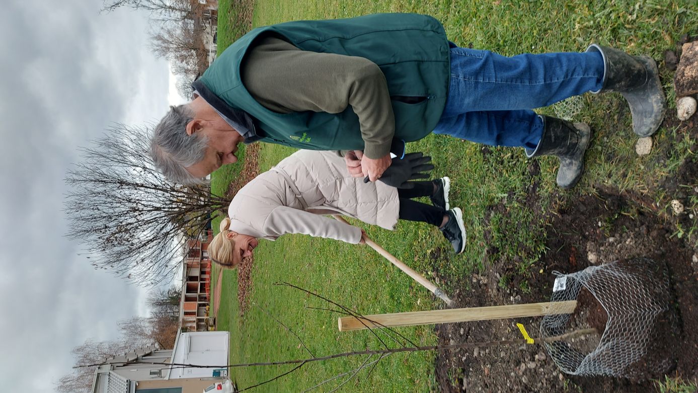 Sajenje avtohtonih sort na Rodici