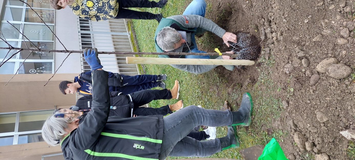 Zaključek zasaditev na Rodici