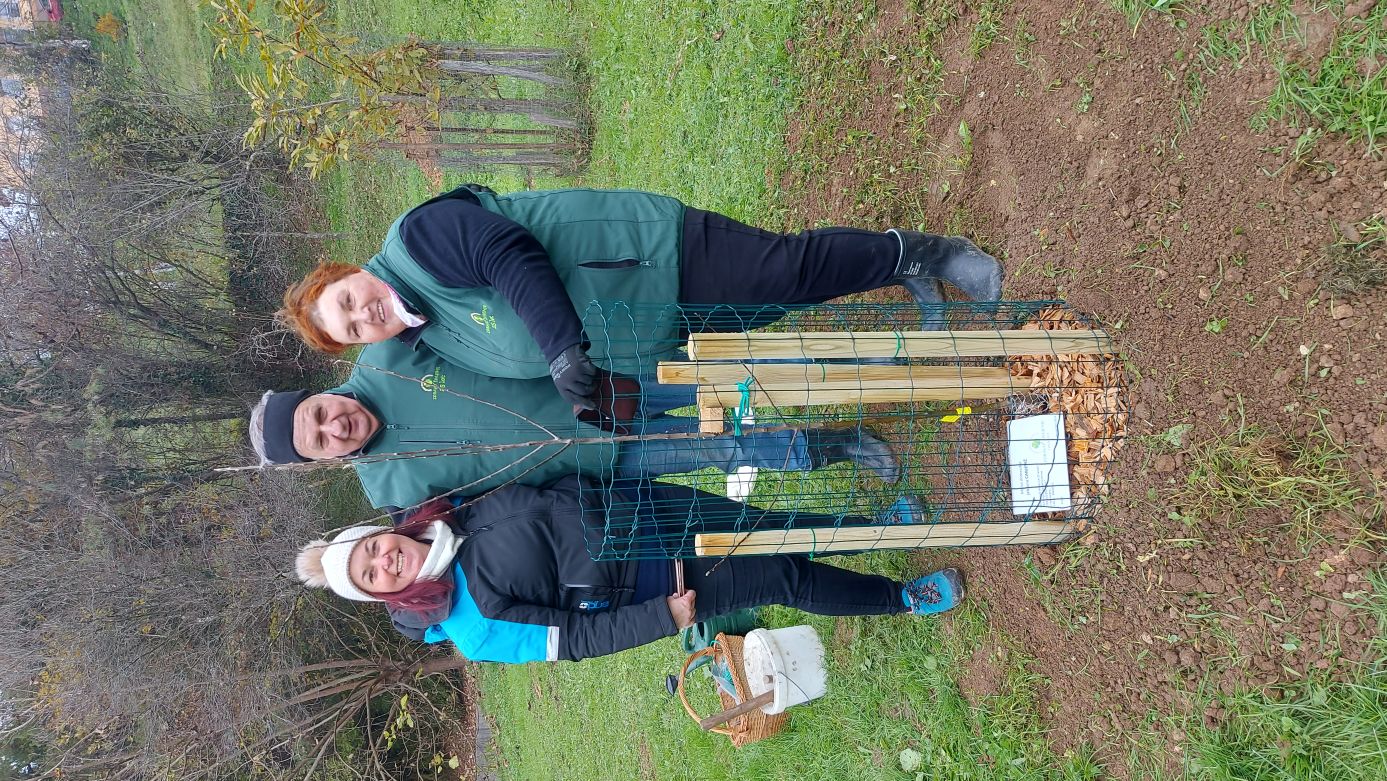 Sajenje jablan v Veliki Kostrevnici