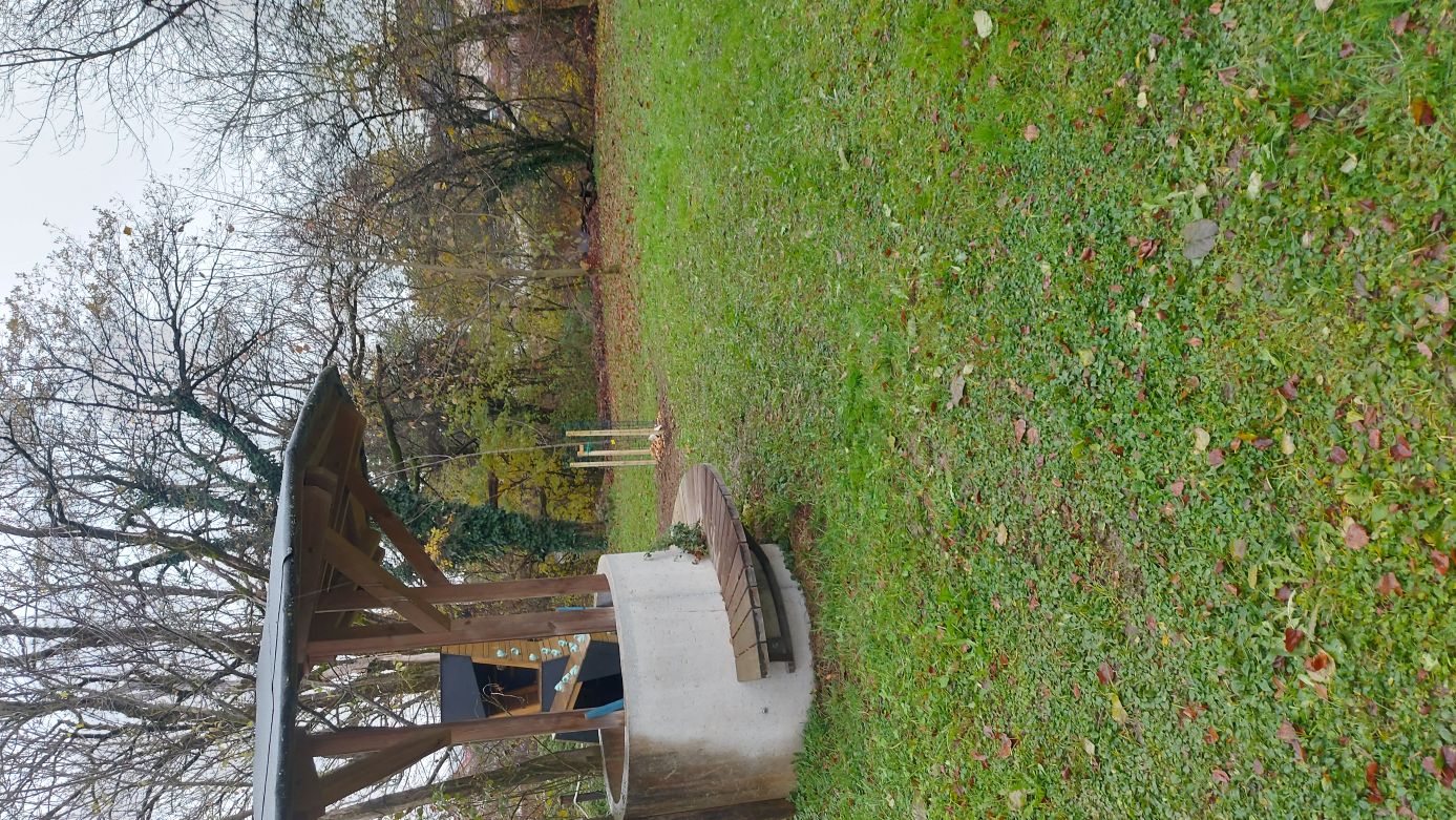 Zasaditev jablane na Vrhniki