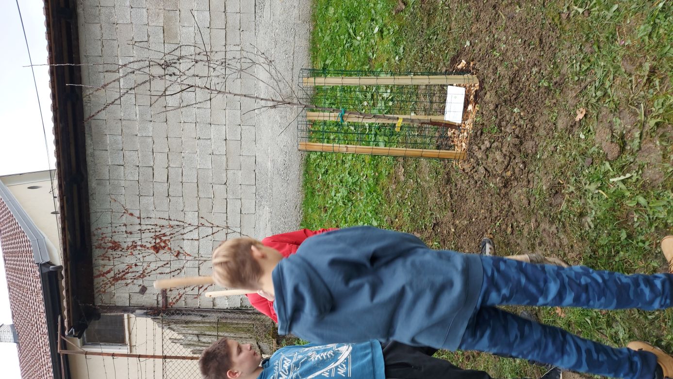 Učenci pri sajenju v Zagorju