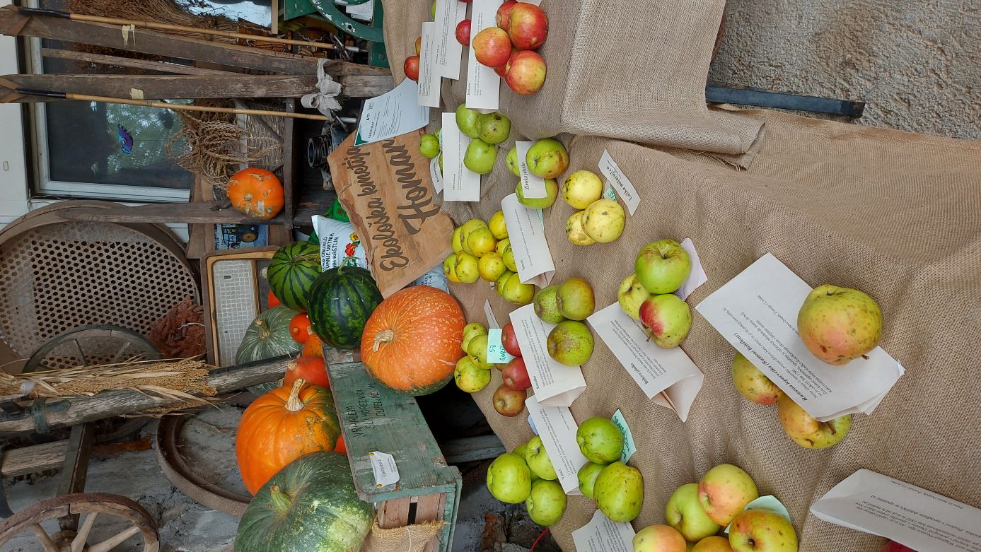 Razstava v Sadjarskem muzeju Tepka