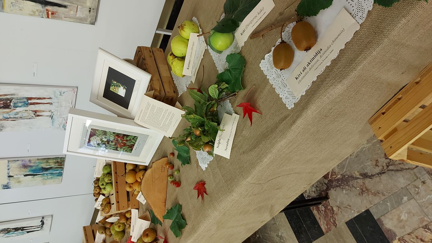 Obiskovalci razstave v Zagorju ob Savi