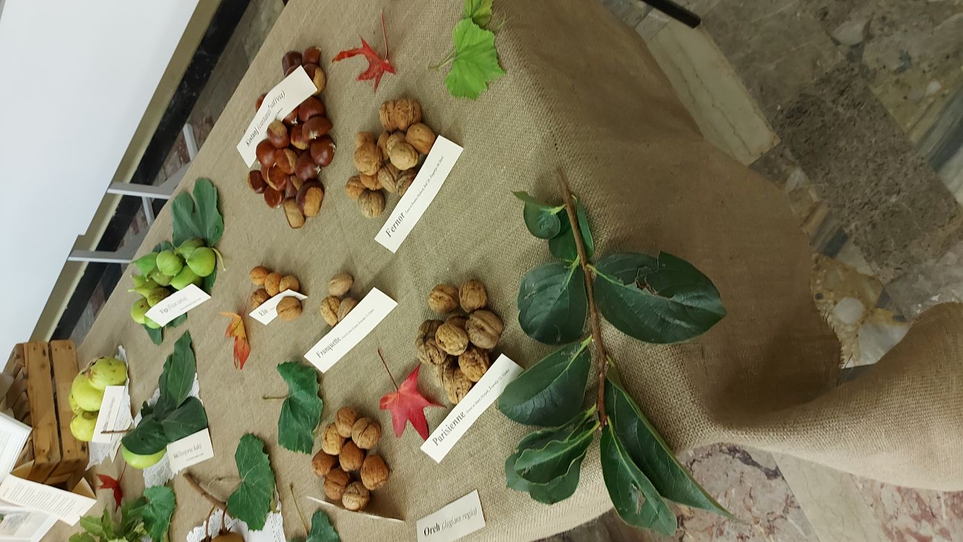 Obiskovalci razstave v Zagorju ob Savi